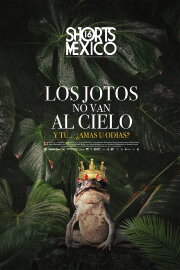 Los jotos no van al cielo