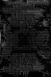 Lossless #4