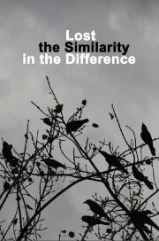 Lost the Similarity in the Difference
