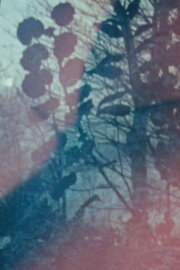 Lovetape Film Lovetape Film
