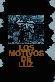 Luz's Motives Luz's Motives