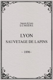 Lyon : sauvetage de lapins