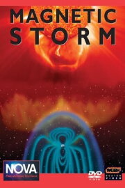 Magnetic Storm Magnetic Storm