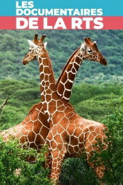 Maman girafe