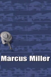Marcus Miller - AVO Session