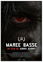 Marée Basse