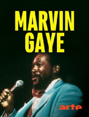 Marvin Gaye: Greatest Hits Live '76