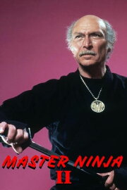Master Ninja II Master Ninja II