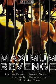 Maximum Security Maximum Security