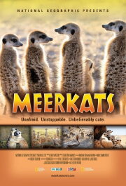 Meerkats 3D Meerkats 3D