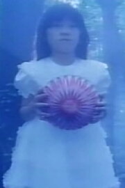 Meet Me in the Dream: Wonderland