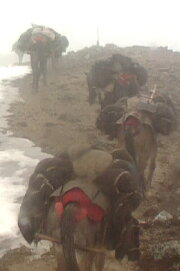 Men and Women in Gada Village