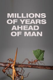 Millions of Years Ahead of Man Millions of Years Ahead of Man