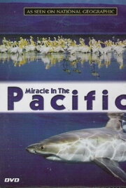 Miracle in the Pacific Miracle in the Pacific