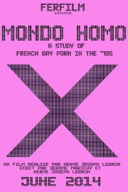 Mondo Homo: A Study of French Gay Porn in the '70s