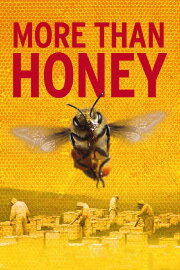 More Than Honey More Than Honey