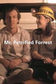 Mr. Petrified Forrest Mr. Petrified Forrest
