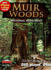 Muir Woods Muir Woods