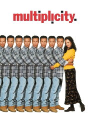 Multiplicity Multiplicity