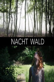 Nacht Wald