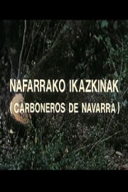 Nafarrako ikazkinak