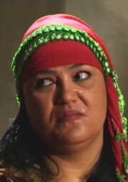 Najla's Passions