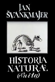 Natural History Suite