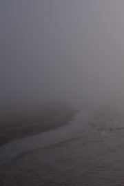 Niebla Niebla