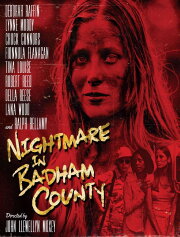 Nightmare in Badham County