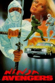 Ninja Operation 6: Champion on Fire