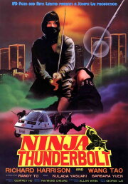 Ninja Thunderbolt Ninja Thunderbolt