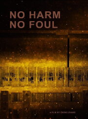 No Harm No Foul No Harm No Foul