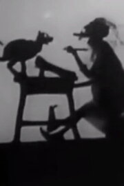 Noah Put The Cat Out Noah Put The Cat Out