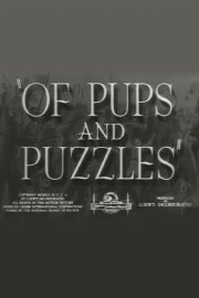 Of Pups and Puzzles