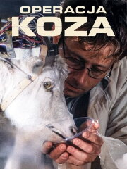 Operacja Koza Operacja Koza