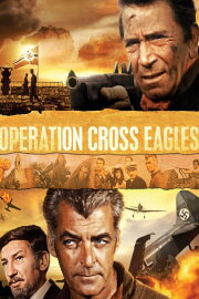 Operation Cross Eagles Operation Cross Eagles