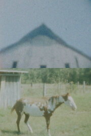 Our Landmark: My Fair Share