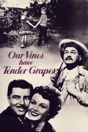 Our Vines Have Tender Grapes Our Vines Have Tender Grapes