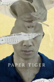 Paper Tiger