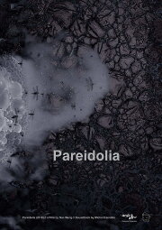 Pareidolia Pareidolia