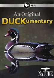 PBS Nature - An Original DUCKumentary PBS Nature - An Original DUCKumentary