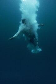 Pedro, Between the Devil and the Deep Blue Sea Pedro, Between the Devil and the Deep Blue Sea