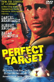 Perfect Target Perfect Target