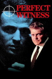 Perfect Witness Perfect Witness