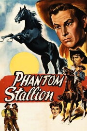 Phantom Stallion Phantom Stallion