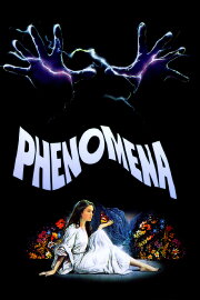 Phenomena Phenomena