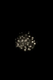 Phosphene Phosphene