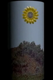 Photosyntesi Photosyntesi