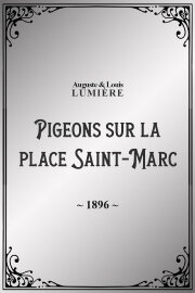 Pigeons sur la place Saint-Marc