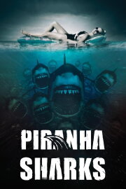 Piranha Sharks Piranha Sharks